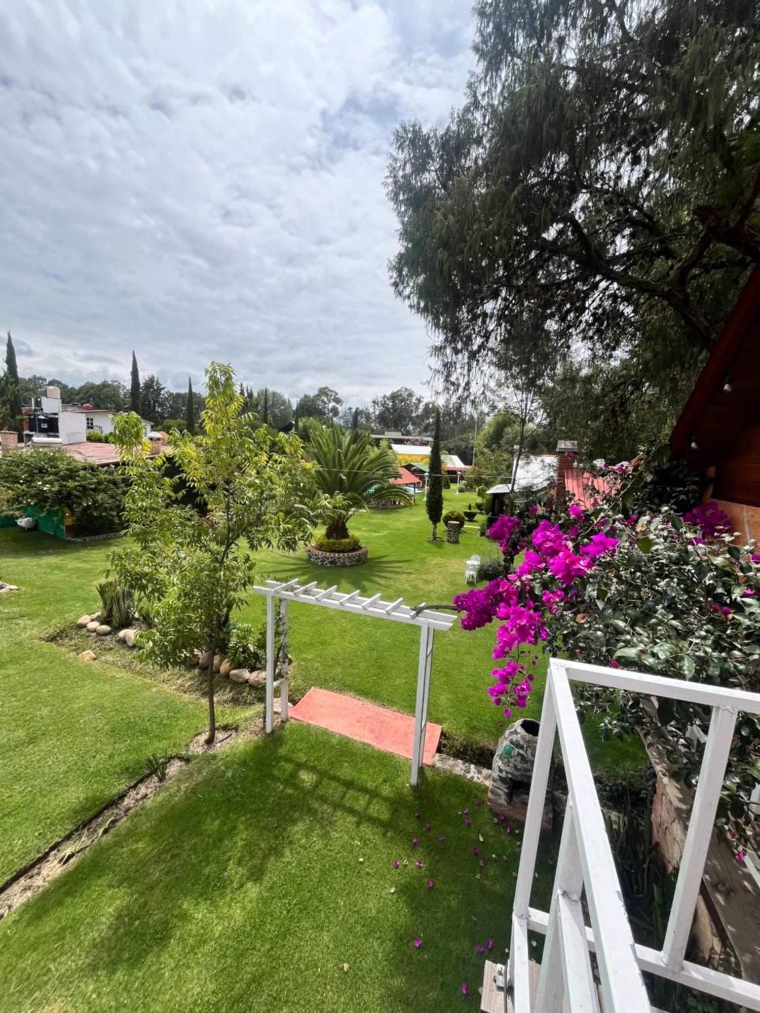 Cabanas Cumbres De Aguacatitla Huasca de Ocampo Buitenkant foto