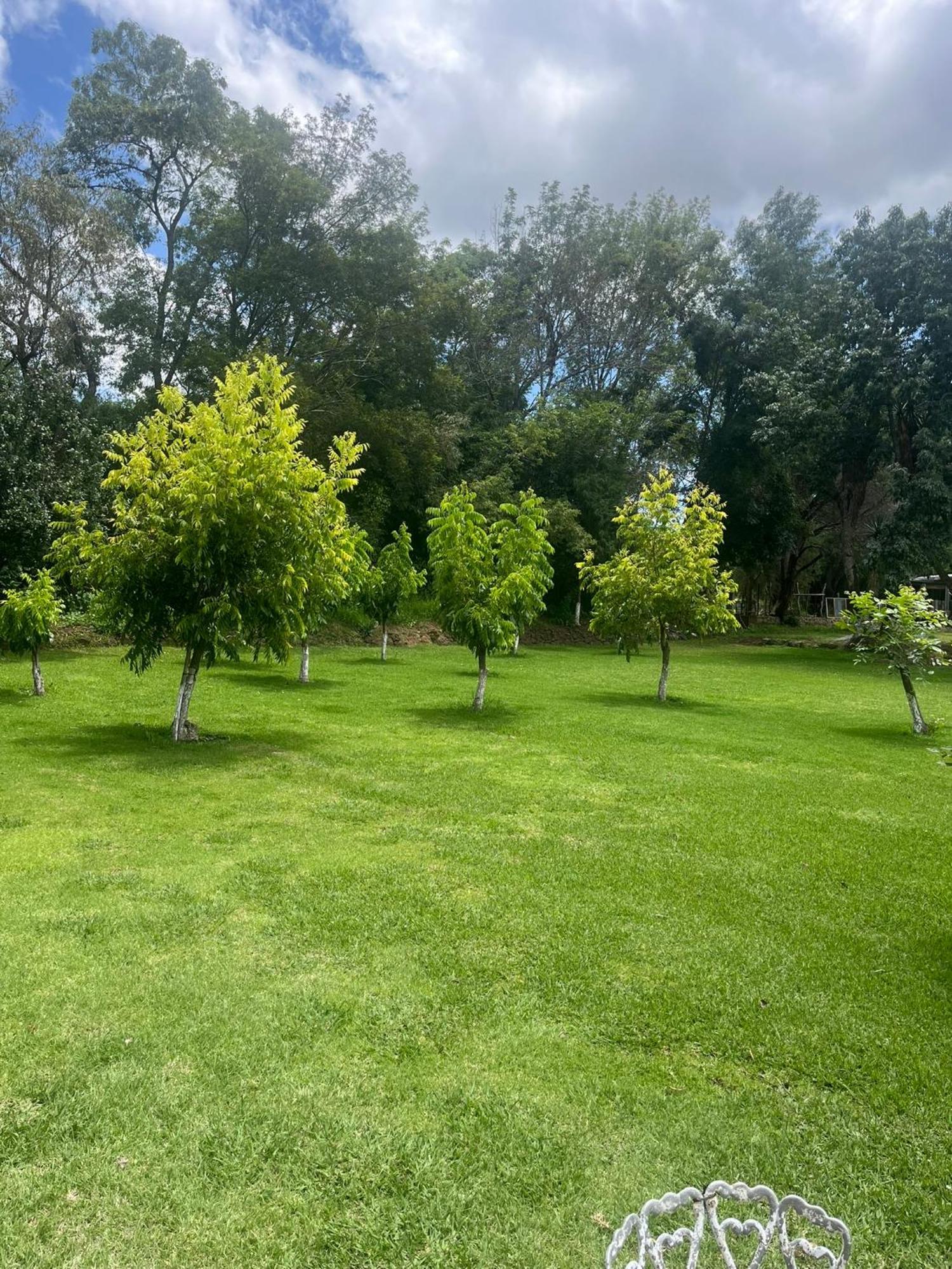 Cabanas Cumbres De Aguacatitla Huasca de Ocampo Buitenkant foto