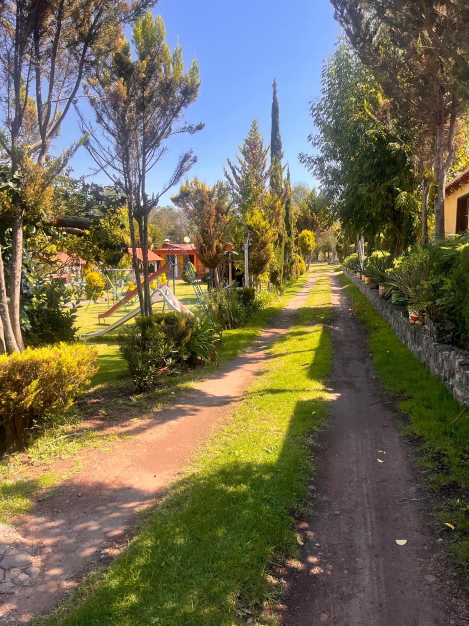 Cabanas Cumbres De Aguacatitla Huasca de Ocampo Buitenkant foto