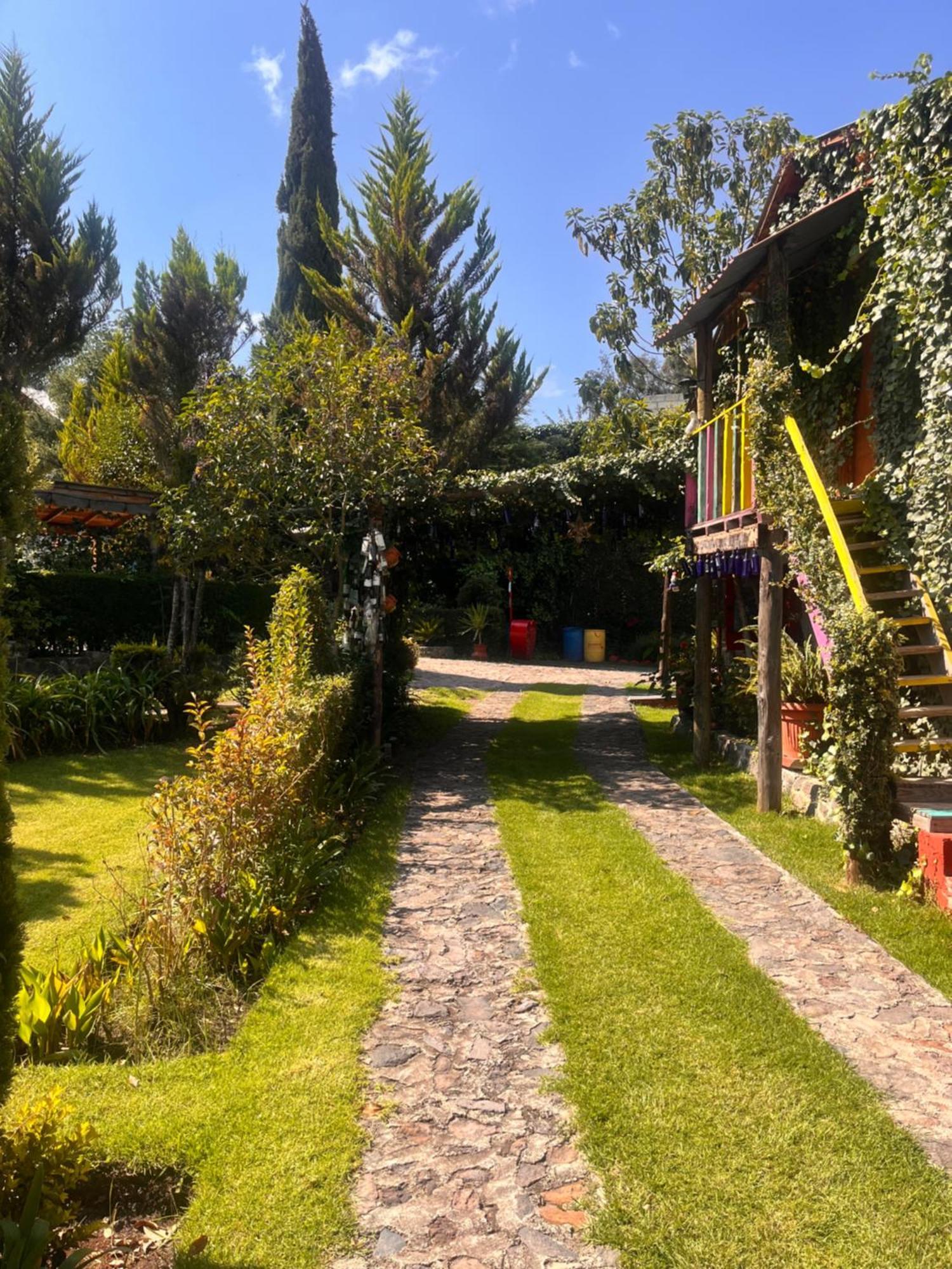 Cabanas Cumbres De Aguacatitla Huasca de Ocampo Buitenkant foto