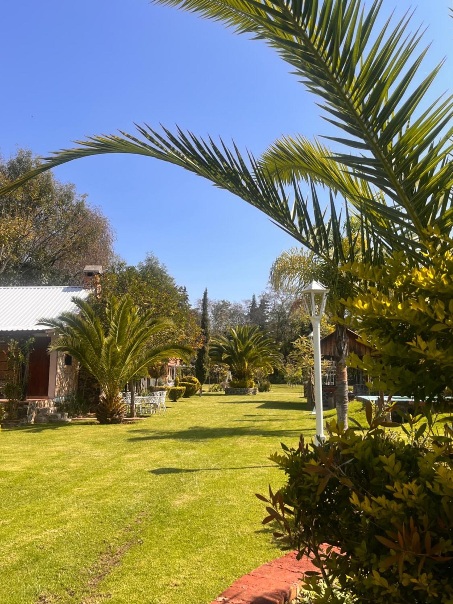 Cabanas Cumbres De Aguacatitla Huasca de Ocampo Buitenkant foto