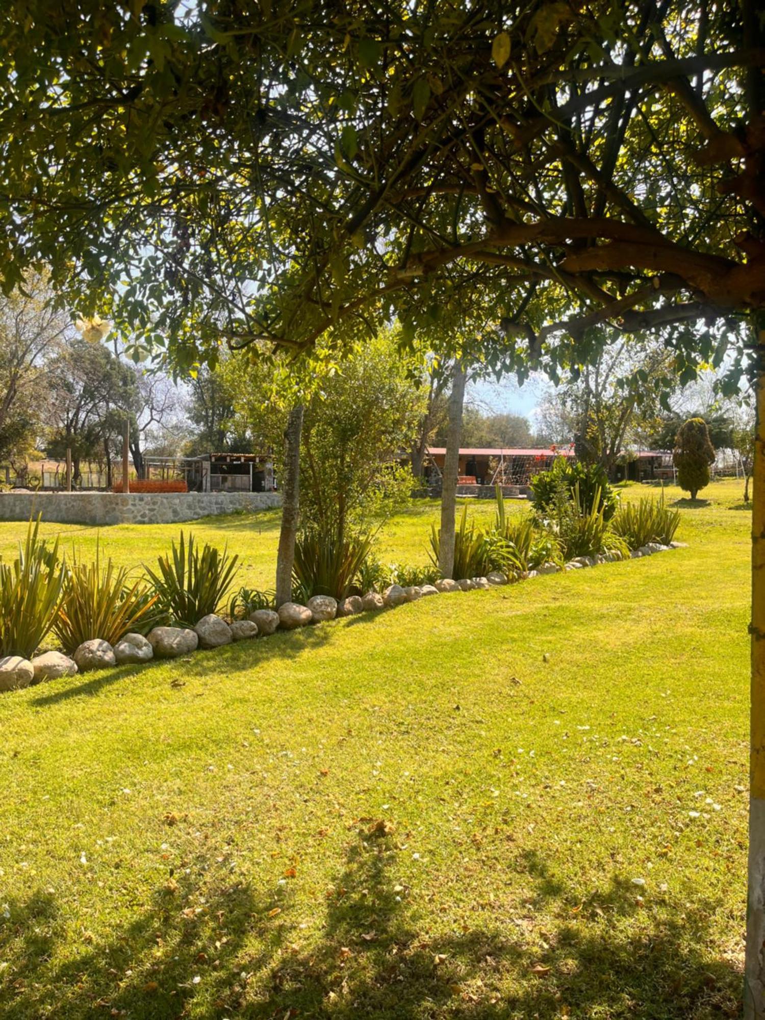 Cabanas Cumbres De Aguacatitla Huasca de Ocampo Buitenkant foto