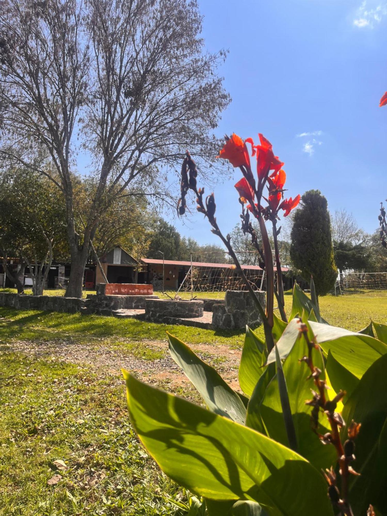 Cabanas Cumbres De Aguacatitla Huasca de Ocampo Buitenkant foto