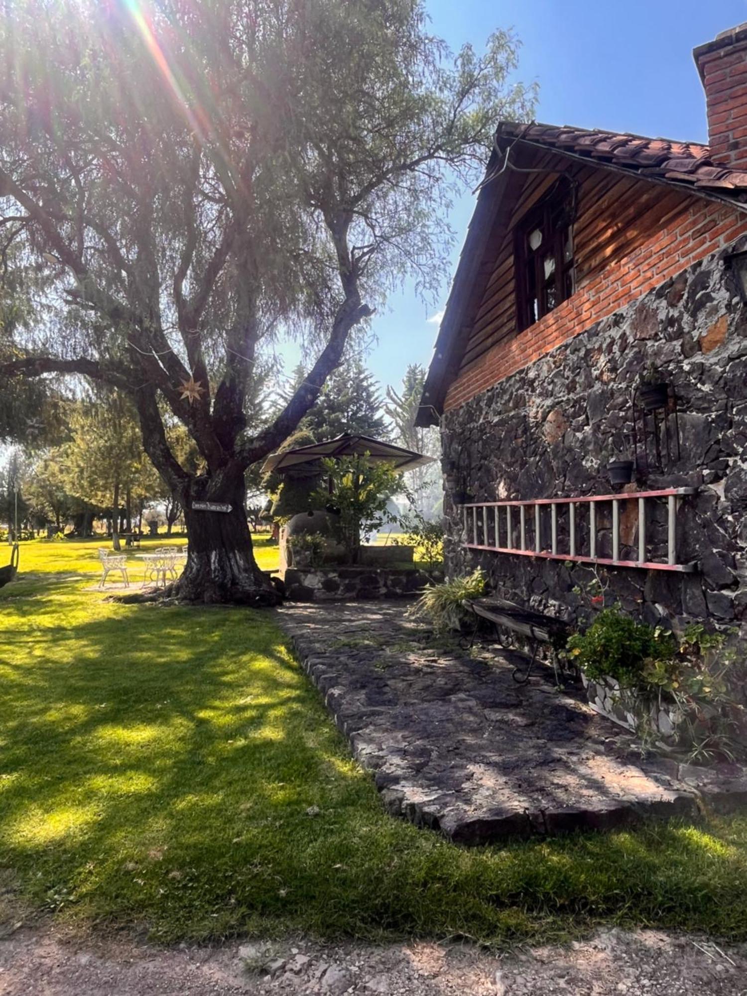 Cabanas Cumbres De Aguacatitla Huasca de Ocampo Buitenkant foto